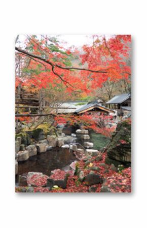 Takaragawa onsen hot spring with colorful trees in autumn, Japan