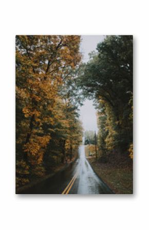 Rainy day in the fall