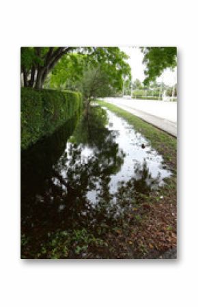 Swale containing Storm water
