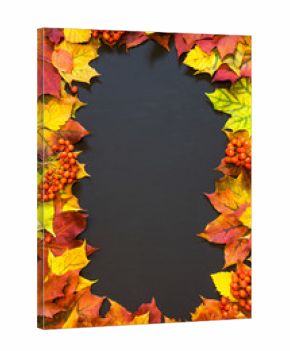 Autumn theme background with maple leaves.