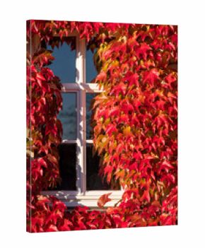Herbstlaub