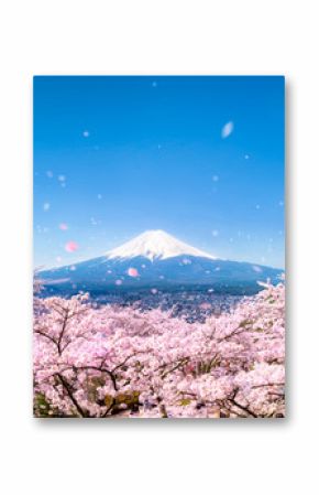Berg Fuji während der  Kirschblüte in Japan