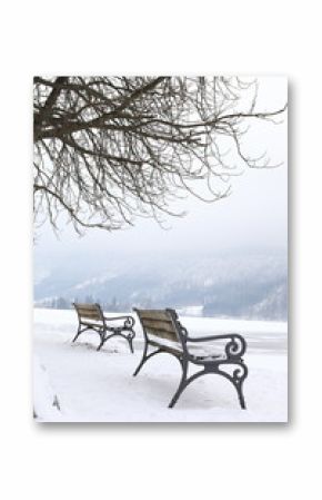 Zwei Bänke unter einem Baum am gefrorenen Seeufer in den Bergen im Winter
