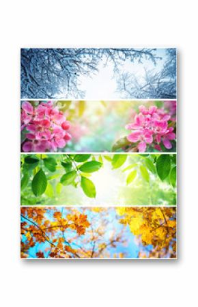 Four seasons. A pictures that shows four different pictures representing the four seasons: winter, spring, summer and autumn.