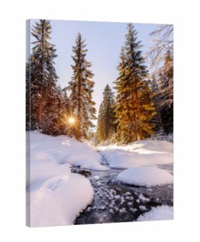 Impressive Winter Landscape.