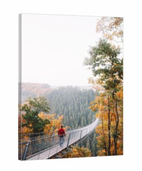 Man walking on a long bridge in nature