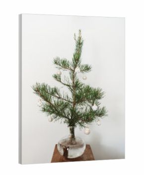 Pine tree