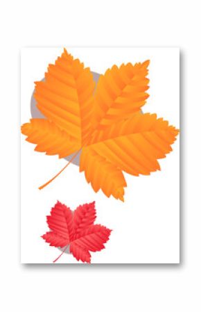 Pair of flat design orange-yellow and red autumn leaves are floating on transparent background