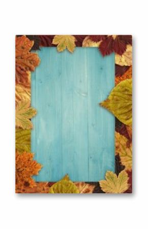 Light blue wooden plank board is lying in flat-lay framed by red orange yellow autumn leaves