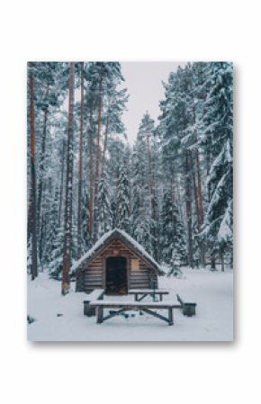 Small wooden shack and benches placed in snowy woods among tall coniferous trees in winter