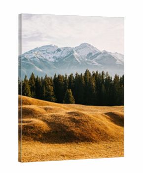 Change of Season - Fall Colors in Swiss Alps