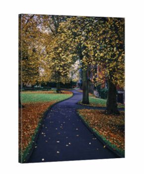 Walkway with autumnal trees and leaves on the ground in a village in Limerick, Ireland