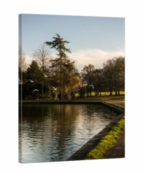 Vertical shot of a flock of geese flying over a lake in the beautiful Abington Park in Northampton
