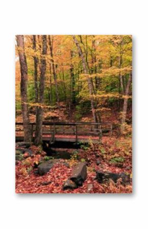 Vertical shot of an old wooden bridge in a colorful autumn forest