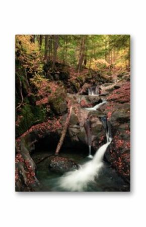 Vertical shot of a small waterfall flowing over rocks in a forest