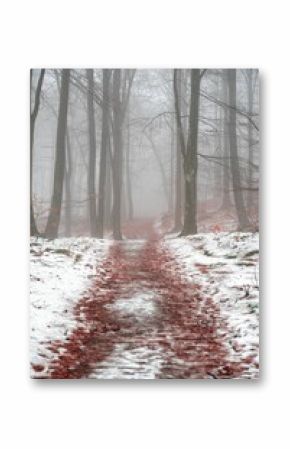 Winter cloudy train and red dried leaves in the pathway