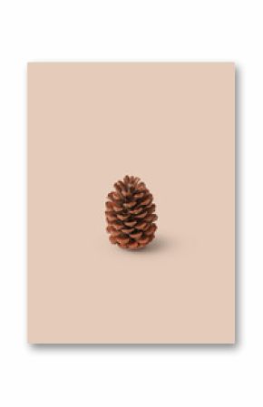 Single brown pine cone on beige background.