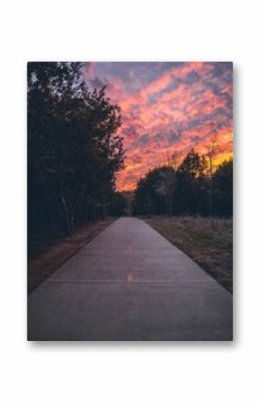 Sunset on a sidewalk with park trees in Austin, Texas with red cloudy sky