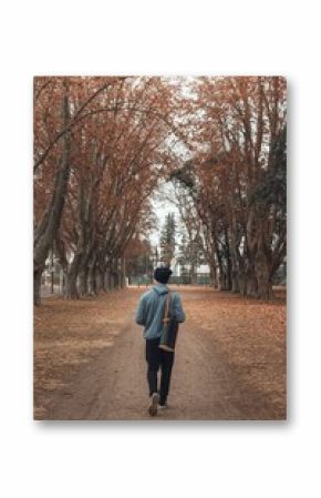Vertical shot of a lonely person walking on long pathway through the deciduous park in autumn