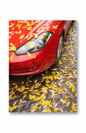 Car windshield covered with fallen autumn leaves
