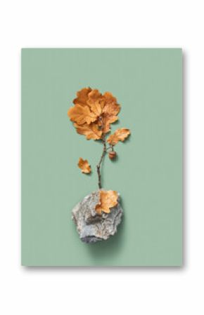 Oak branch with brown leaves and acorn on stone.