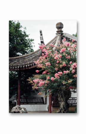 Traditional classical Chinese garden