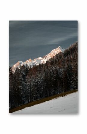 The snowy mountains of austria.