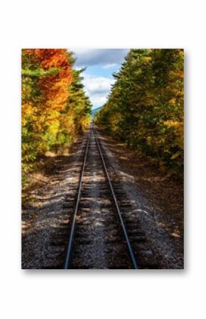 New Hampshire Scenic Railroad surrounded by autumn trees with orange leaves