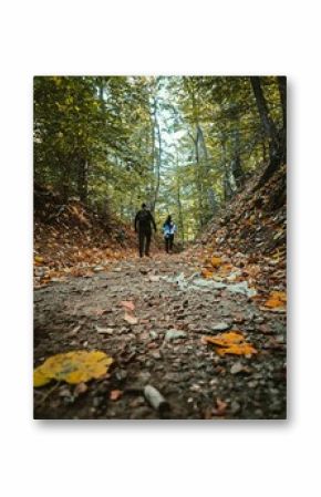 Couple walking in the scenic autumn forest