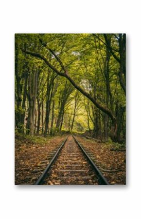 Vertical shot of an abandoned railway track in the forest in autumn
