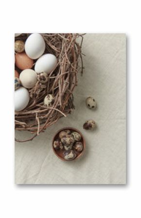 Quail eggs in bowl, chicken eggs in nest beside.