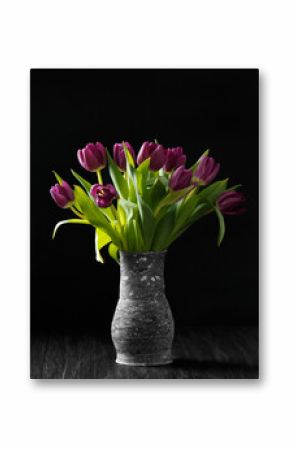 Dark purple tulips on a black background
