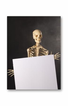 Vertical image of plastic skeleton holding paper sheet and smoke with copy space on black background