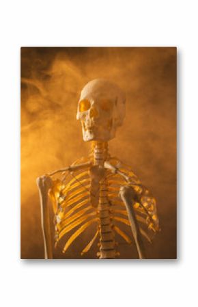 Vertical image of plastic skeleton and smoke with copy space on black background