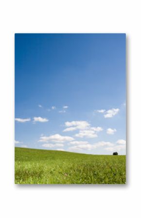 Himmel und Wiese