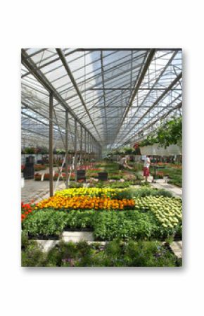 horticulture