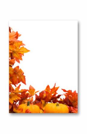 Fall leaves with pumpkin on white background, fall harvest