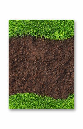 Grass and soil frame