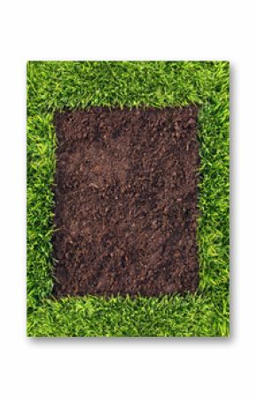 Grass and soil frame