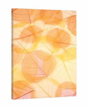 Dry colored leaves - background