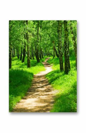 green forest