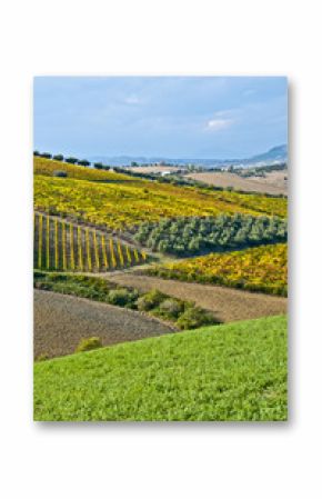 campagna abruzzese 3