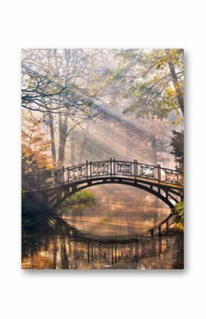 Old bridge in autumn misty park