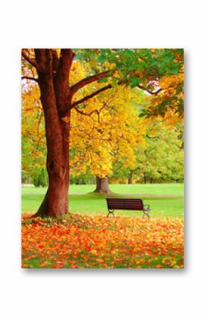 Autumn in Helsinki Public Garden