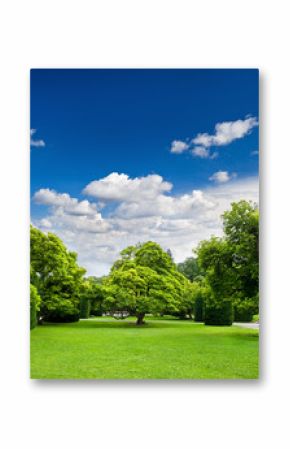 beautiful park trees over blue sky. formal garden