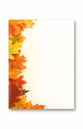 Autumn leaves frame