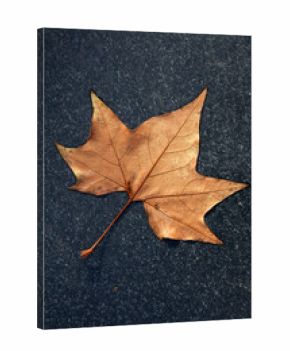 herfstblad op zwart marmer