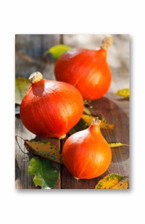 red kuri squash hokkaido