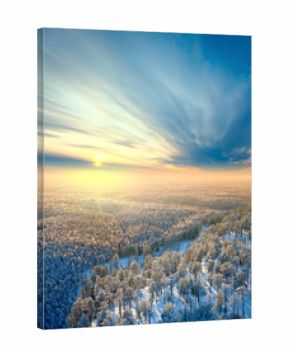 Top view on winter forest on the morning