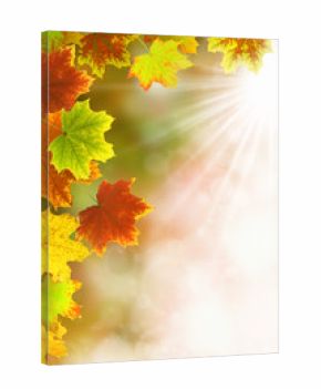 Herbst 37